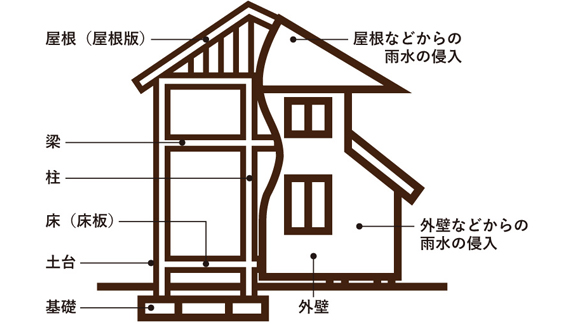 10年間の瑕疵担保責任対象部分イメージ