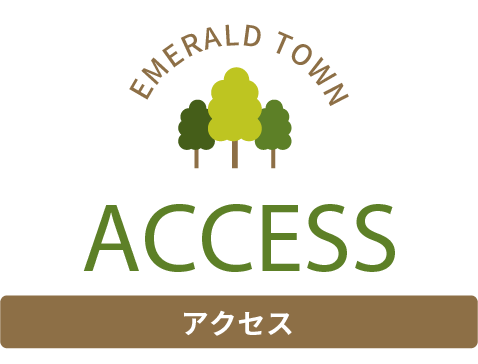 ACCESS