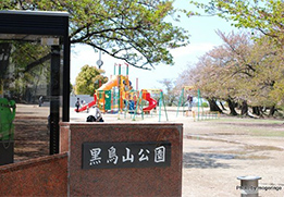 黒鳥山公園