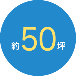 約５０坪