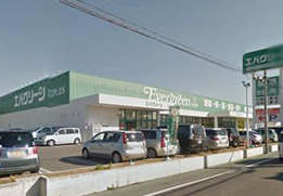エバーグリーン和泉芦部店