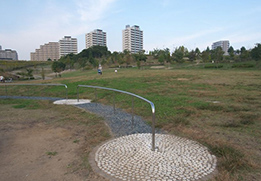 中央公園