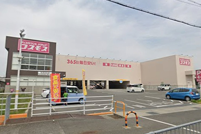 ドラッグコスモス和泉和気店